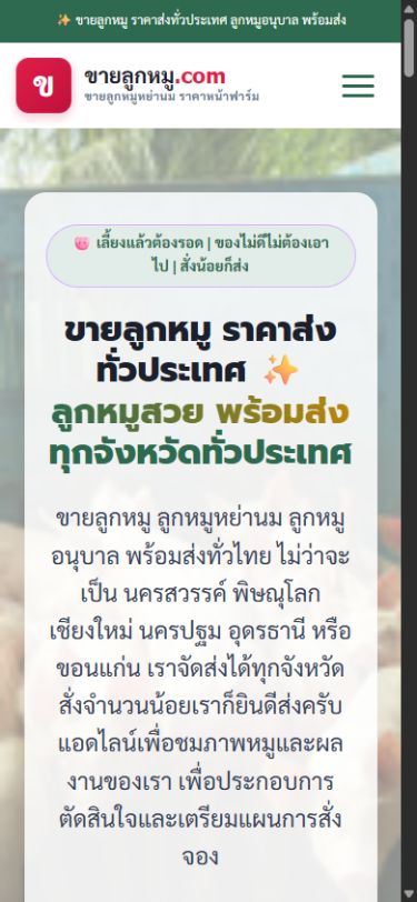 ผลงานเว็บไซต์ ขายลูกหมู บนโทรศัพท์